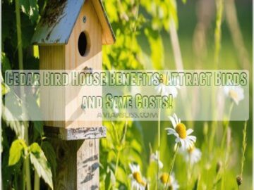 cedar bird house benefits