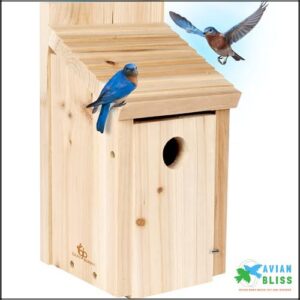 Cedar Wood Bird House -