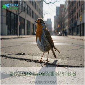 Challenges Faced by Urban Birds