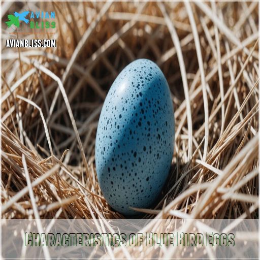 Characteristics of Blue Bird Eggs