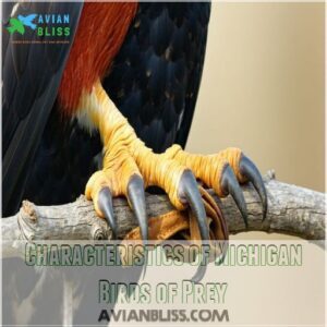 Characteristics of Michigan Birds of Prey