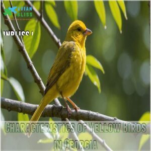 Characteristics of Yellow Birds in Georgia