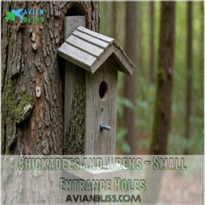 Chickadees and Wrens – Small Entrance Holes