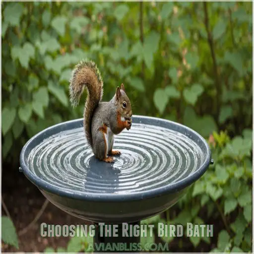 How to Attract Birds to a Bird Bath Tips and Tricks
