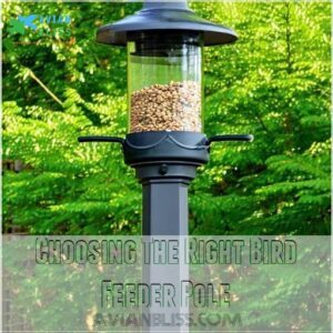 Choosing The Right Bird Feeder Pole