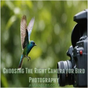 Choosing The Right Camera for Bird Photography