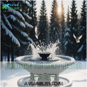 Choosing The Right Heated Bird Bath