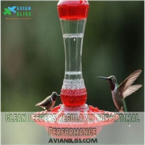 Clean Feeders Regularly for Optimal Performance