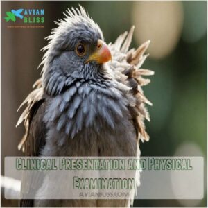 Clinical Presentation and Physical Examination