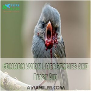 Common Avian Emergencies and First Aid