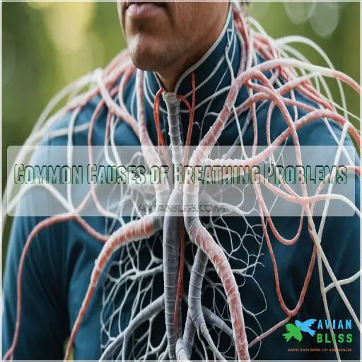 How to Help Bird With Respiratory Problems 8 LifeSaving Steps