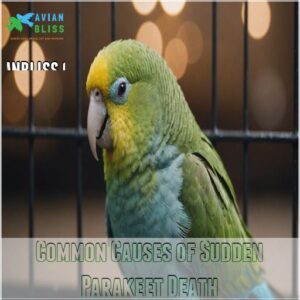 Common Causes of Sudden Parakeet Death