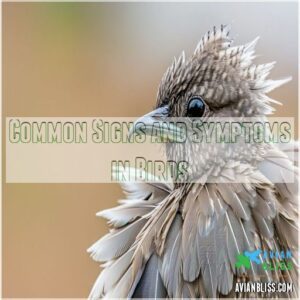 Common Signs and Symptoms in Birds