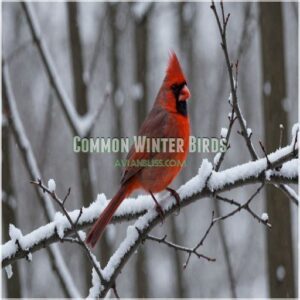 Common Winter Birds