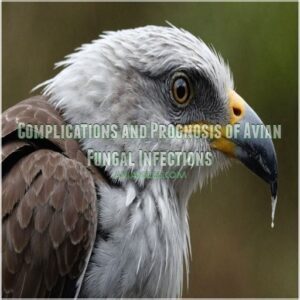 Complications and Prognosis of Avian Fungal Infections