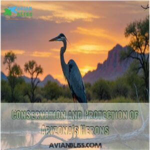 Conservation and Protection of Arizona