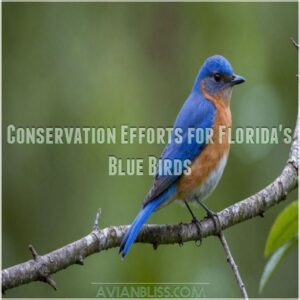 Conservation Efforts for Florida