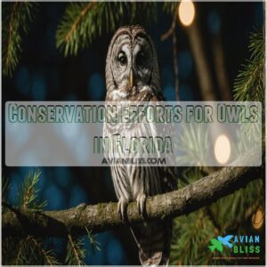 Conservation Efforts for Owls in Florida