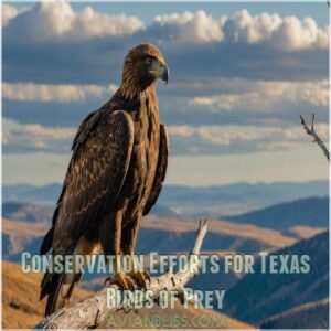 Conservation Efforts for Texas Birds of Prey