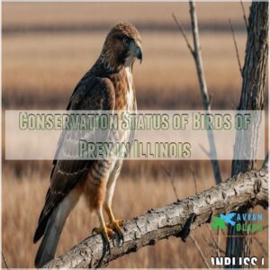 Conservation Status of Birds of Prey in Illinois