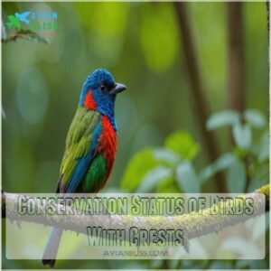 Conservation Status of Birds With Crests