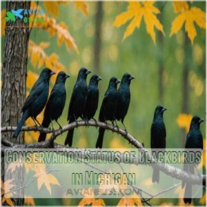 Conservation Status of Blackbirds in Michigan