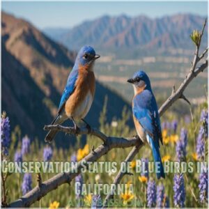 Conservation Status of Blue Birds in California