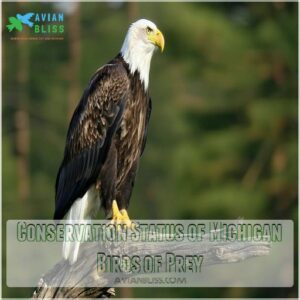 Conservation Status of Michigan Birds of Prey