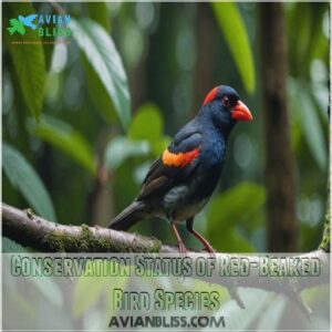 Conservation Status of Red-Beaked Bird Species