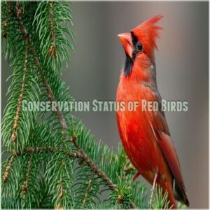 Conservation Status of Red Birds