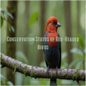 Conservation Status of Red-Headed Birds