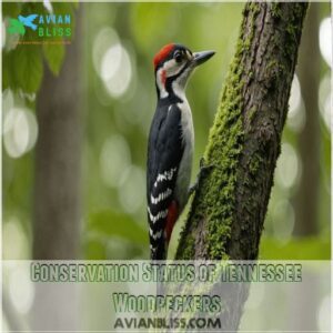 Conservation Status of Tennessee Woodpeckers