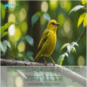 Conservation Status of Yellow Birds in Illinois