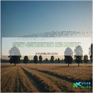 Crow Distribution and Habitat