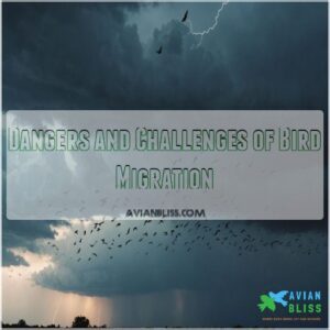 Dangers and Challenges of Bird Migration