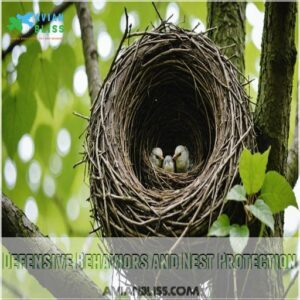 Defensive Behaviors and Nest Protection