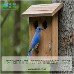 Designing The Perfect Bluebird House