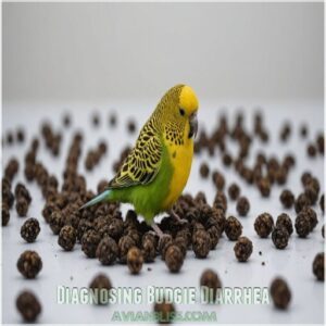 Diagnosing Budgie Diarrhea