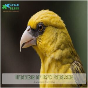 Diagnosis of Beak Problems