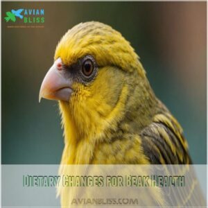 Dietary Changes for Beak Health