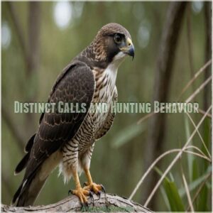 Distinct Calls and Hunting Behavior