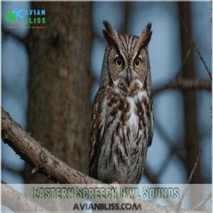 Eastern Screech Owl Sounds