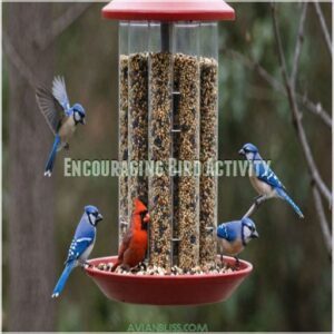 Encouraging Bird Activity