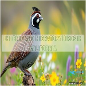 Endemic and Migratory Birds in California