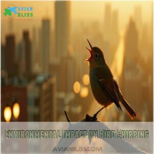 Environmental Impact on Bird Chirping