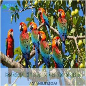 Essential Nutrients for Exotic Birds