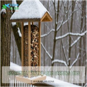 Essential Winter Bird Feeding Tips