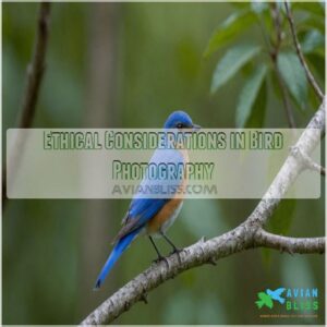 Ethical Considerations in Bird Photography