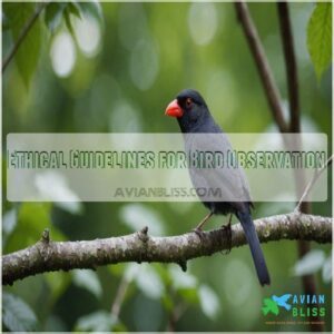 Ethical Guidelines for Bird Observation