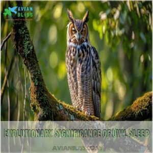 Evolutionary Significance of Owl Sleep